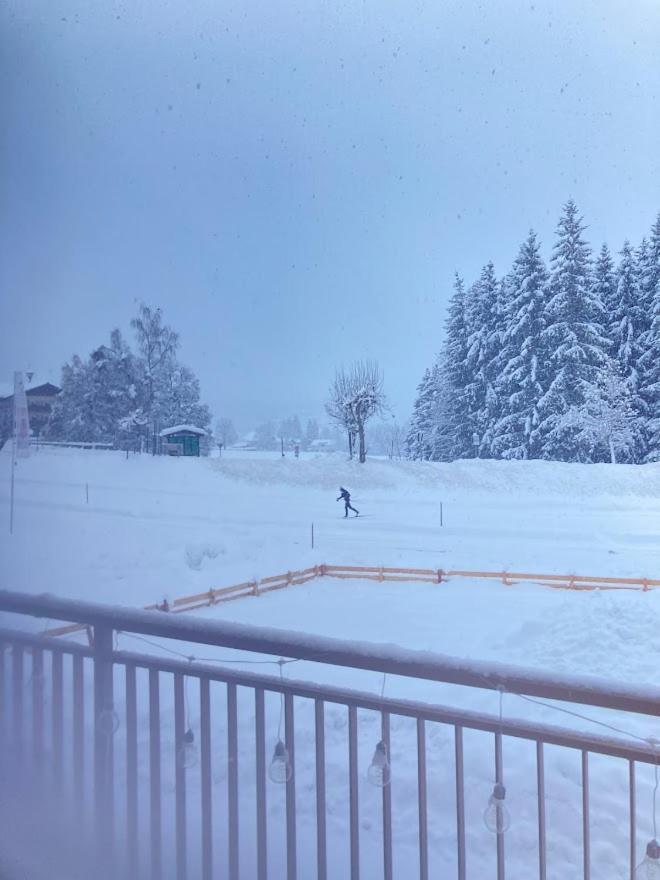 Jara Apartment- Ramsau Am Dachstein Esterno foto